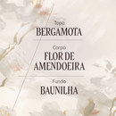 Mist Perfumado Corpo e Cabelo Amêndoa 100mL