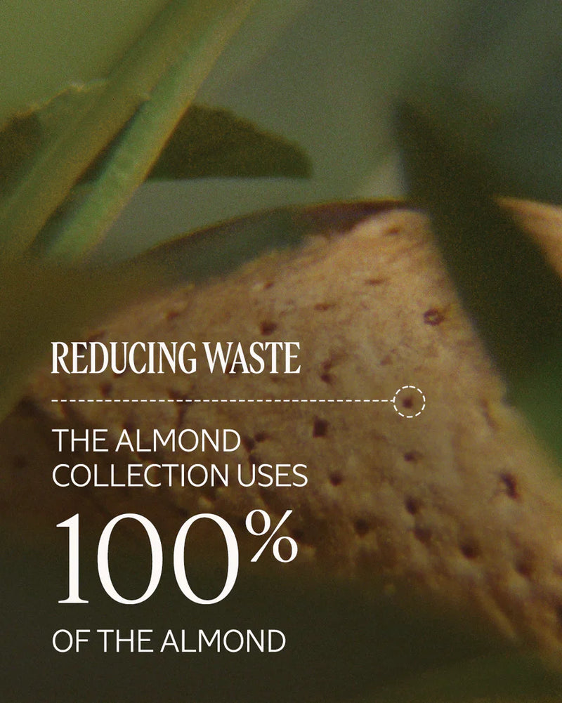 Creme Corporal Concentrado de Leite de Amêndoa