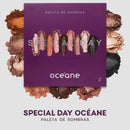Paleta de Sombras - Special Day Purple 25g